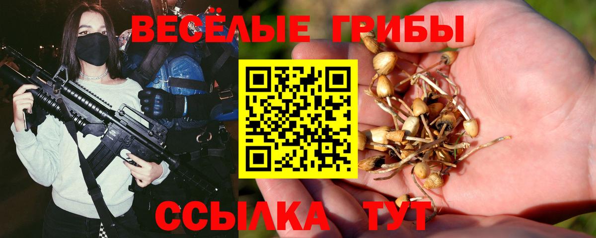 Псилоцибиновые грибы MAGIC MUSHROOMS  Вход с VPN  Воткинск 
